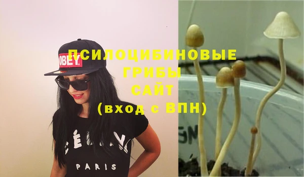 ешки Липки