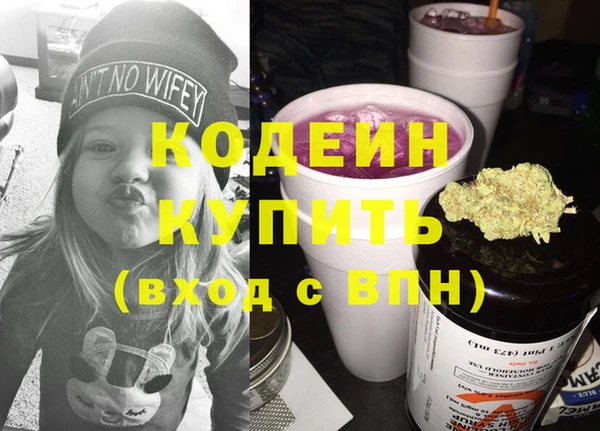 хмурый Лиски