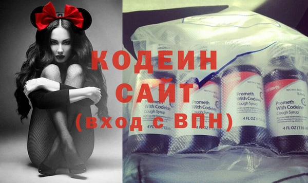 хмурый Лиски