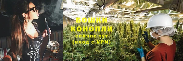 ешки Липки